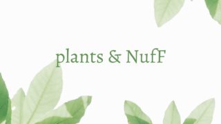 Plants & NufF